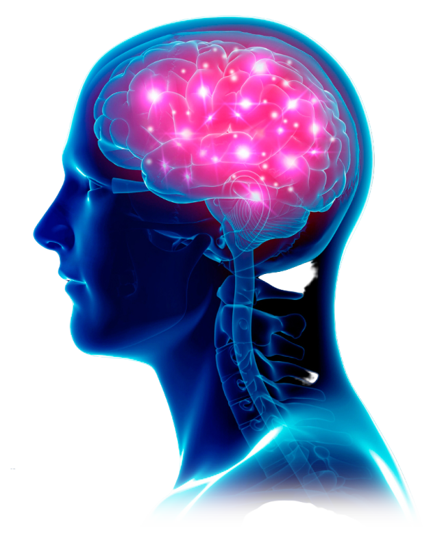 Participe deste workshop transformador. Reduza o estresse e encontre equilíbrio emocional! Desenvolvido para aliviar sintomas de ansiedade, angústia e depressão, combater os efeitos do burnout e capacitar você a lidar com as memórias de estresse. Abordamos a 'síndrome do copo cheio' que pode desencadear descontrole emocional e estresse crônico. Nosso programa também impulsiona mudanças de hábitos, ensina estratégias de solução de problemas e tomada de decisão, aprimora suas habilidades emocionais, cultiva resiliência, amplia sua concentração e foco, estimulando o amadurecimento emocional. Junte-se a nós para uma jornada de crescimento pessoal!