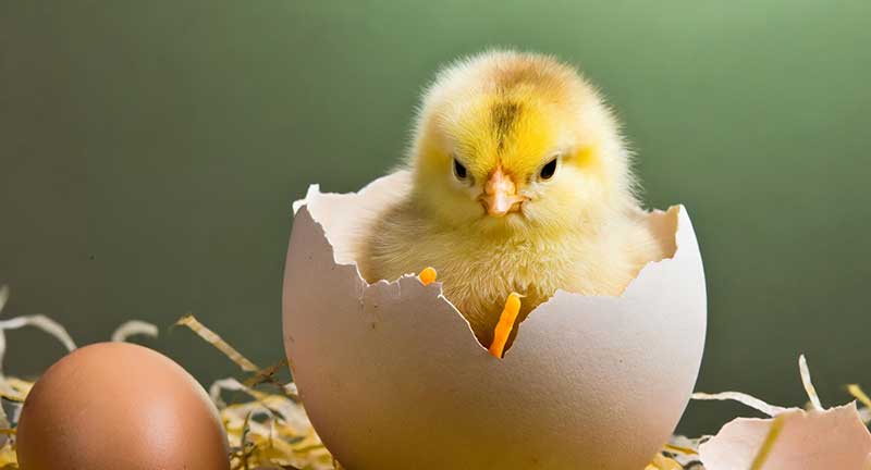 walther kerth é hipnoterapeuta em são paulo. Hipnoterapia SP. Walther Kerth é hipnoterapeuta em São Paulo. Terapia breve por hipnose