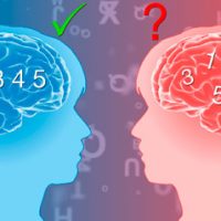 como lidar com a dislexia com o Workshop Despertare