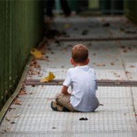 como lidar com fobias com o workshop despertare